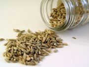 Укропная вода можно ли пить укропную воду кормящей маме